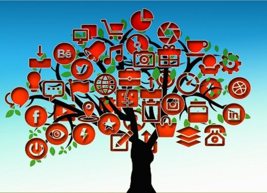 tree social media